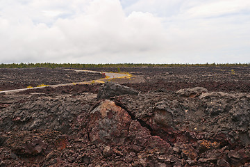 Image showing  Chain of craters road in Big Island of Hawaii