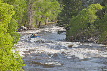 Image showing Springtime whitewater in  Colorado