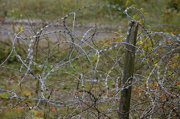 Image showing Tangled razor wire