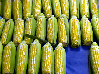 Image showing sweet corn