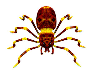 Image showing Spider