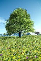 Image showing summer tree