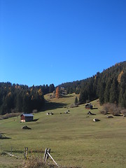 Image showing Summer alpine landscape