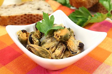 Image showing Mussels