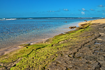 Image showing Kauai beach Hawaii