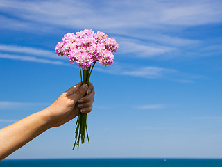 Image showing Wildflowers