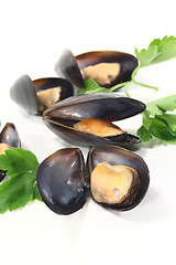 Image showing Mussels with flat leaf parsley