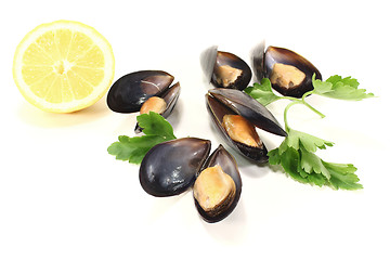 Image showing Mussels with Parsley and Lemon