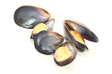 Image showing three cooked Mussels