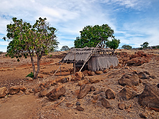 Image showing Puukohala Heiau National historic site in Big Island of Hawaii