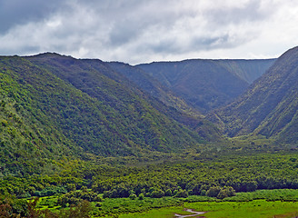 Image showing Polulu Valley on Big Island in Hawaii