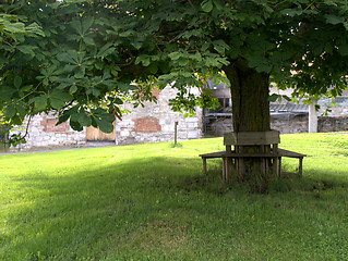 Image showing Tranquil bench under tree