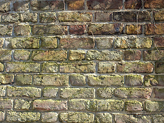 Image showing Brick wall