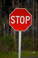 Image showing Stop Sign