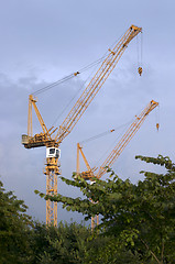 Image showing Crane