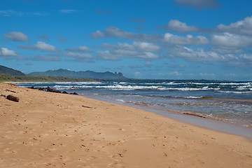 Image showing Beach on Kauai Island of Hawaii