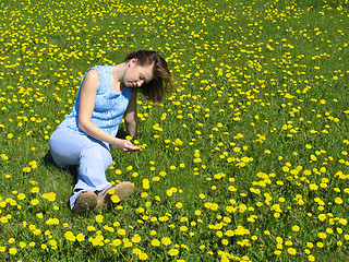 Image showing Girl on dandelion lawn