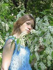 Image showing Girl and bird cherry tree