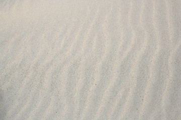 Image showing Sand - Texture