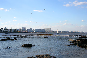Image showing Skyline of Montevideo