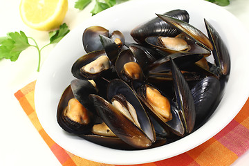 Image showing fresh mussels in a white bowl