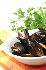 Image showing fresh mussels in a bowl