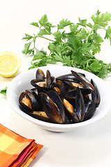 Image showing steamed mussels in a bowl