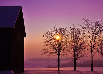 Image showing Winter Sunset