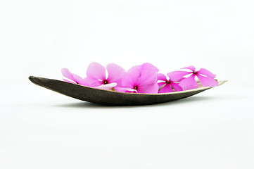 Image showing Pink Flower Boat