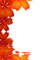 Image showing Flowers background reflecting in water