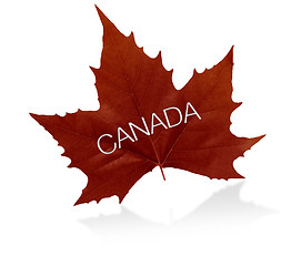 Image showing Canadian Maple Leaf