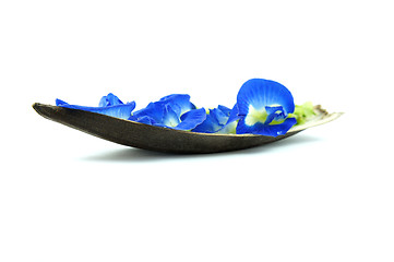 Image showing Blue Flower Boat