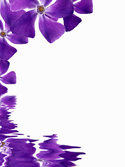 Image showing Flowers background reflecting in water