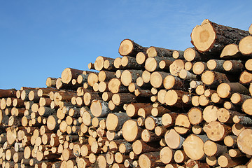 Image showing Cut Wooden Logs and Blue Sky