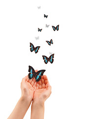 Image showing Hands with Butterflies