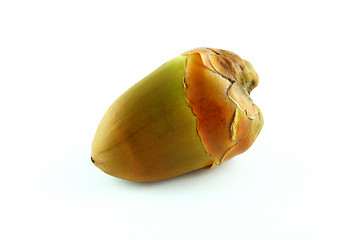 Image showing Young Coconut