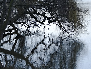 Image showing reflection