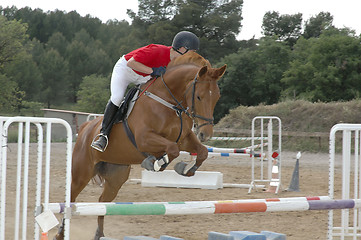 Image showing Horse and rider jumping
