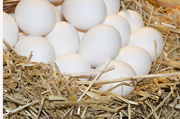 Image showing white eggs