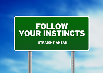 Image showing Green Road Sign - Follow Your Instincts