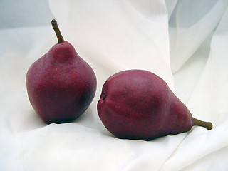 Image showing Red Bosch Pears