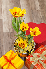 Image showing It is red yellow tulips and gift boxes, a close up