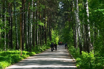 Image showing People in park