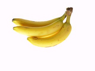 Image showing Bunch of Bananas