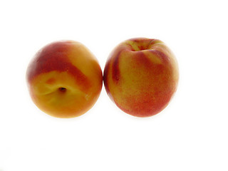Image showing Two Nectarines