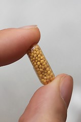Image showing the capsule in hands