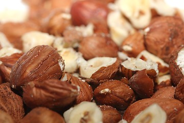 Image showing Hazelnuts