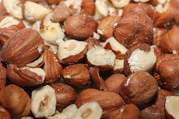 Image showing Hazelnuts