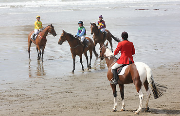 Image showing Castlepoint race meeting