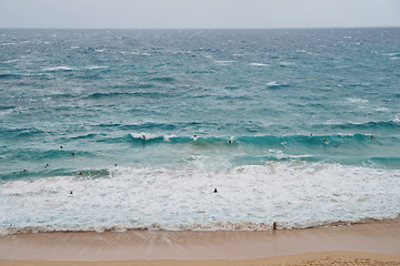 Image showing Crowded surfers riding Oahu Island beach waves